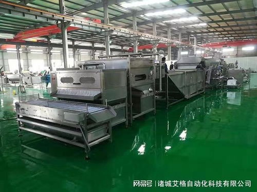 鵪鶉蛋剝殼機廠家實力推薦 從技術(shù)革新到服務(wù)保障的全維度解析